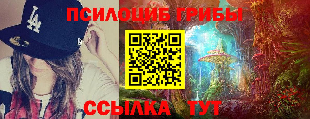 Дмитров  Галлюциногенные грибы Psilocybe  Вход с VPN 