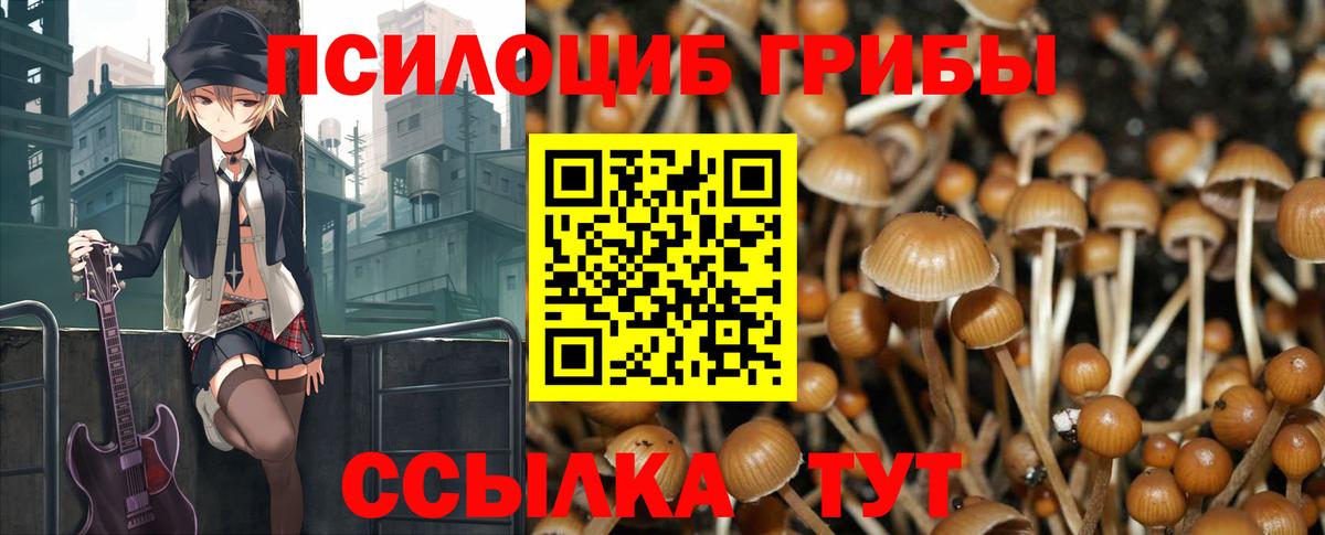 Галлюциногенные грибы ЛСД Дмитров